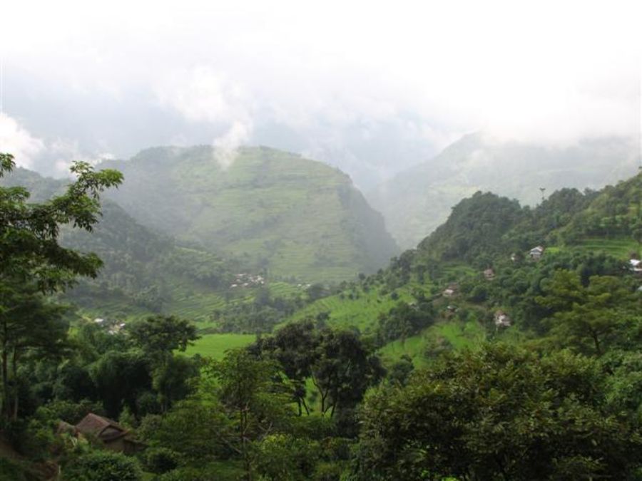 View